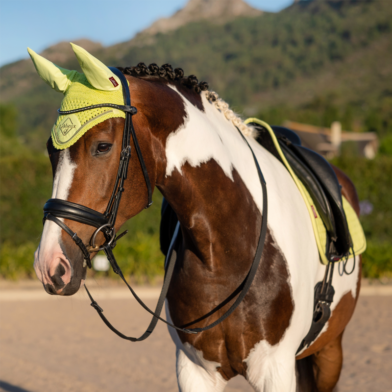 LeMieux Classic Fly Hood - Kiwi-1